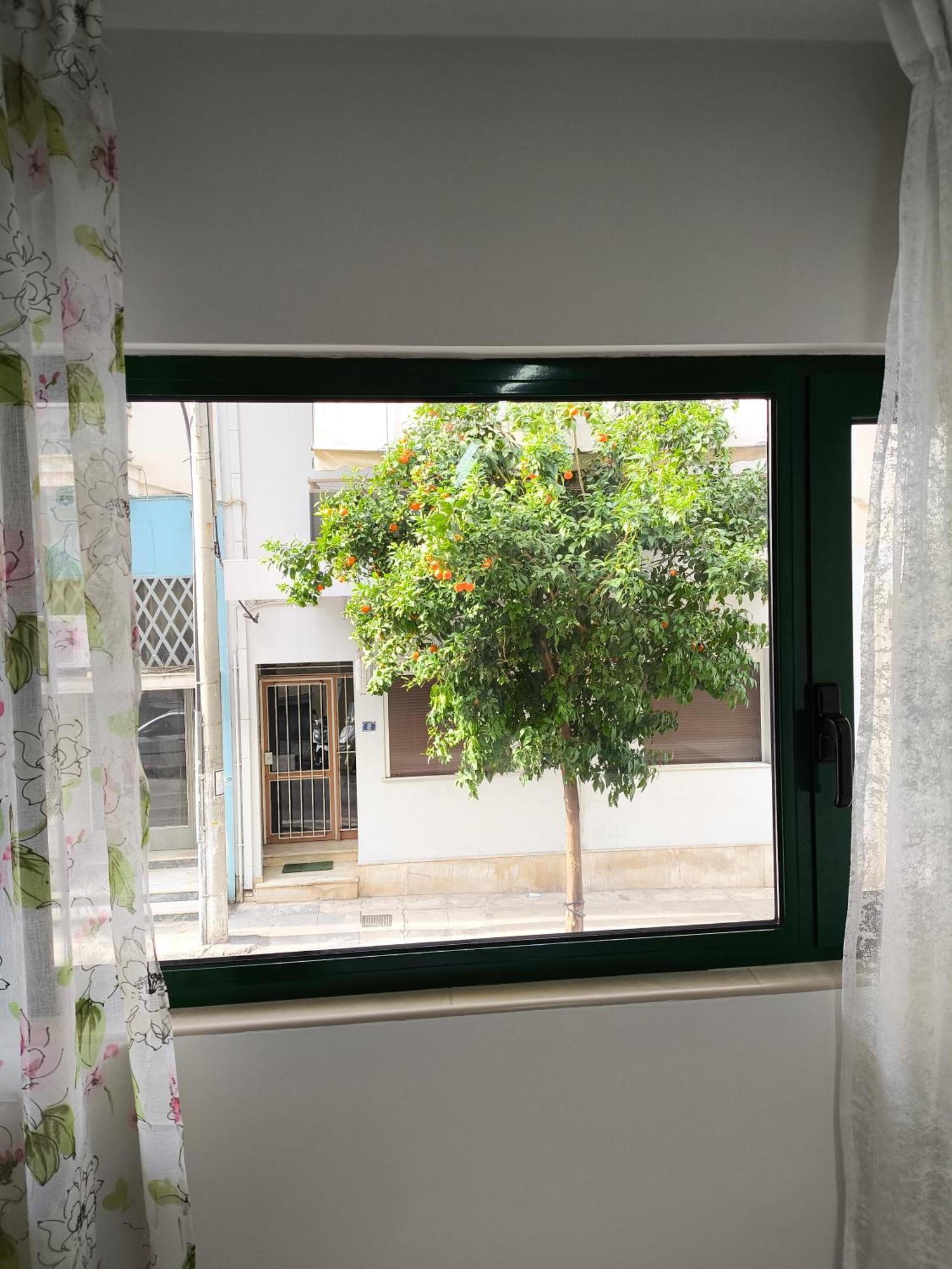 Green Home Athena Bagian luar foto